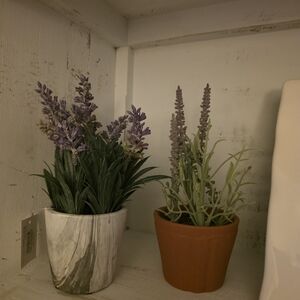 Marshalls Lavender Faux Plant Duo in Marble and Terracotta Pots